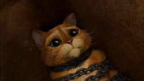 穿靴子的猫电影在线观看,魔法冒险之旅在线观影指南  第1张